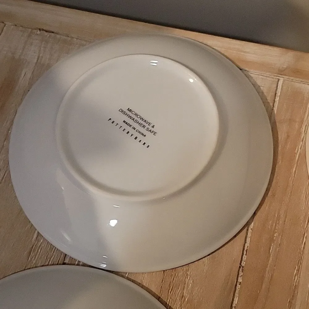 POTTERY BARN Curiosity Plates Midnight Dreary Appetizer SET of  3 6 1/2”